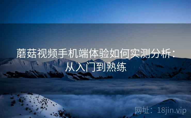 蘑菇视频手机端体验如何实测分析：从入门到熟练