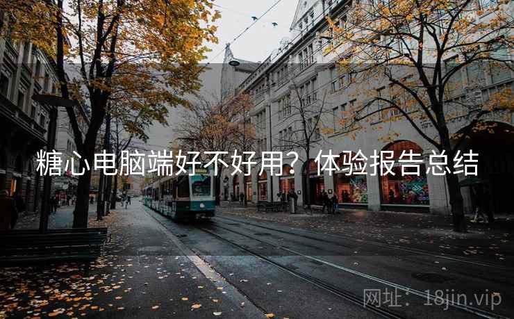 糖心电脑端好不好用？体验报告总结