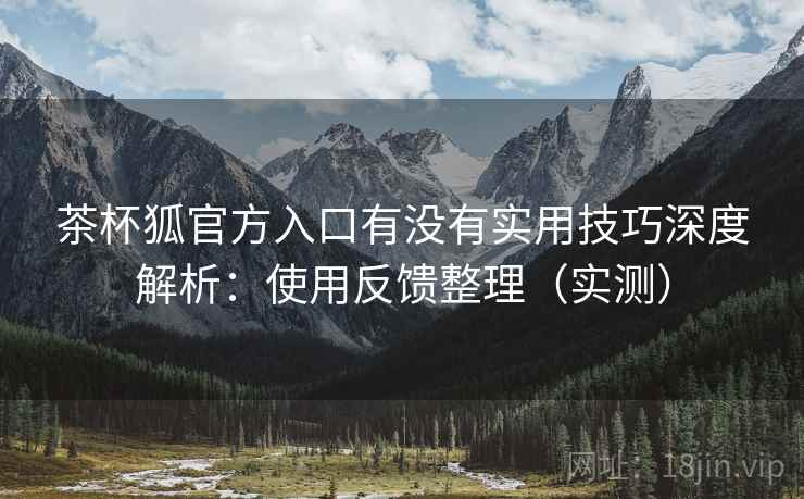茶杯狐官方入口有没有实用技巧深度解析：使用反馈整理（实测）