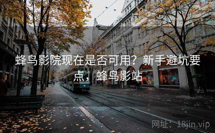 蜂鸟影院现在是否可用？新手避坑要点，蜂鸟影站