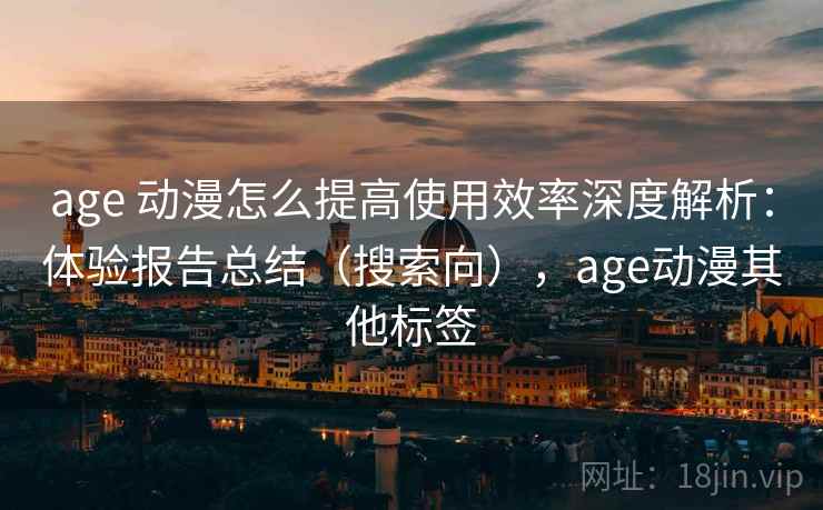 age 动漫怎么提高使用效率深度解析：体验报告总结（搜索向），age动漫其他标签
