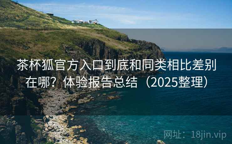 茶杯狐官方入口到底和同类相比差别在哪？体验报告总结（2025整理）